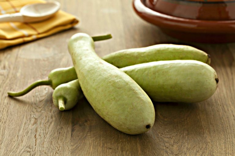 bottle gourds are used in Moroccan cooking