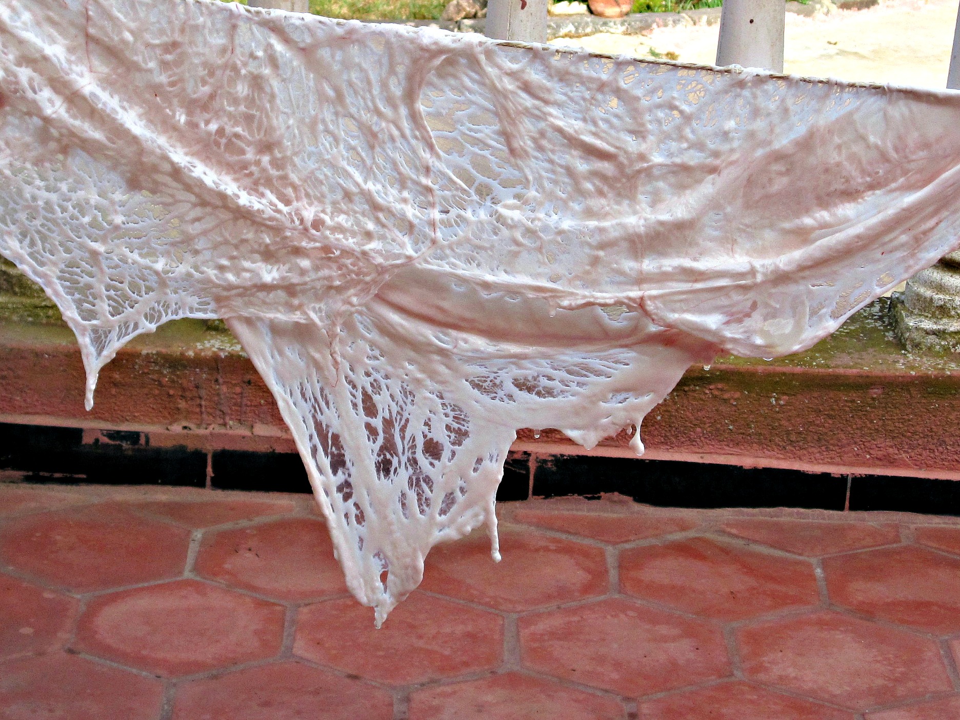 lacy caul fat hanging to dry